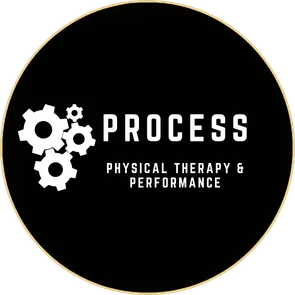 Process Physical Therapy and Performance logo
